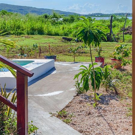 Cashaw Cabin - Private Retreat With A Pool Treasure Beach Zewnętrze zdjęcie
