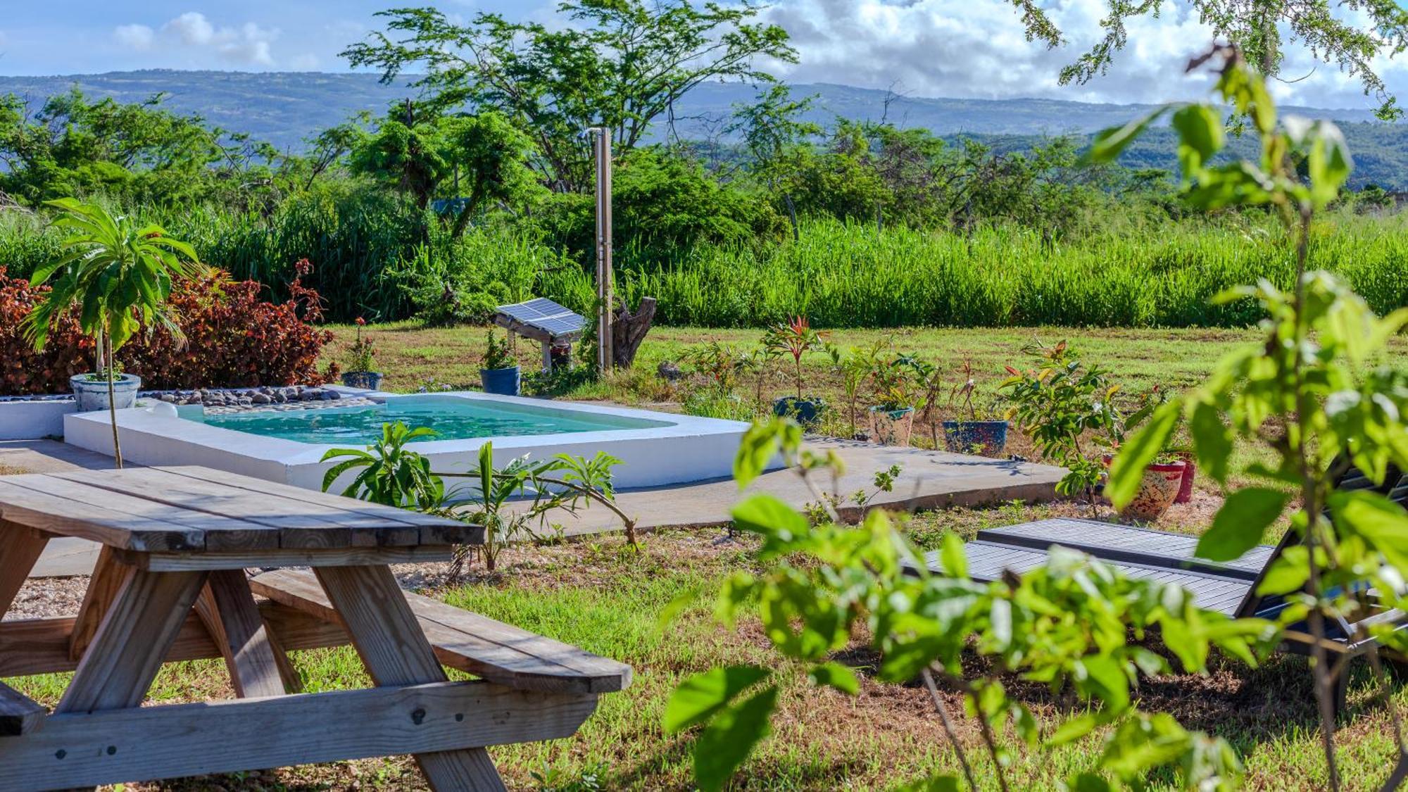 Cashaw Cabin - Private Retreat With A Pool Treasure Beach Zewnętrze zdjęcie