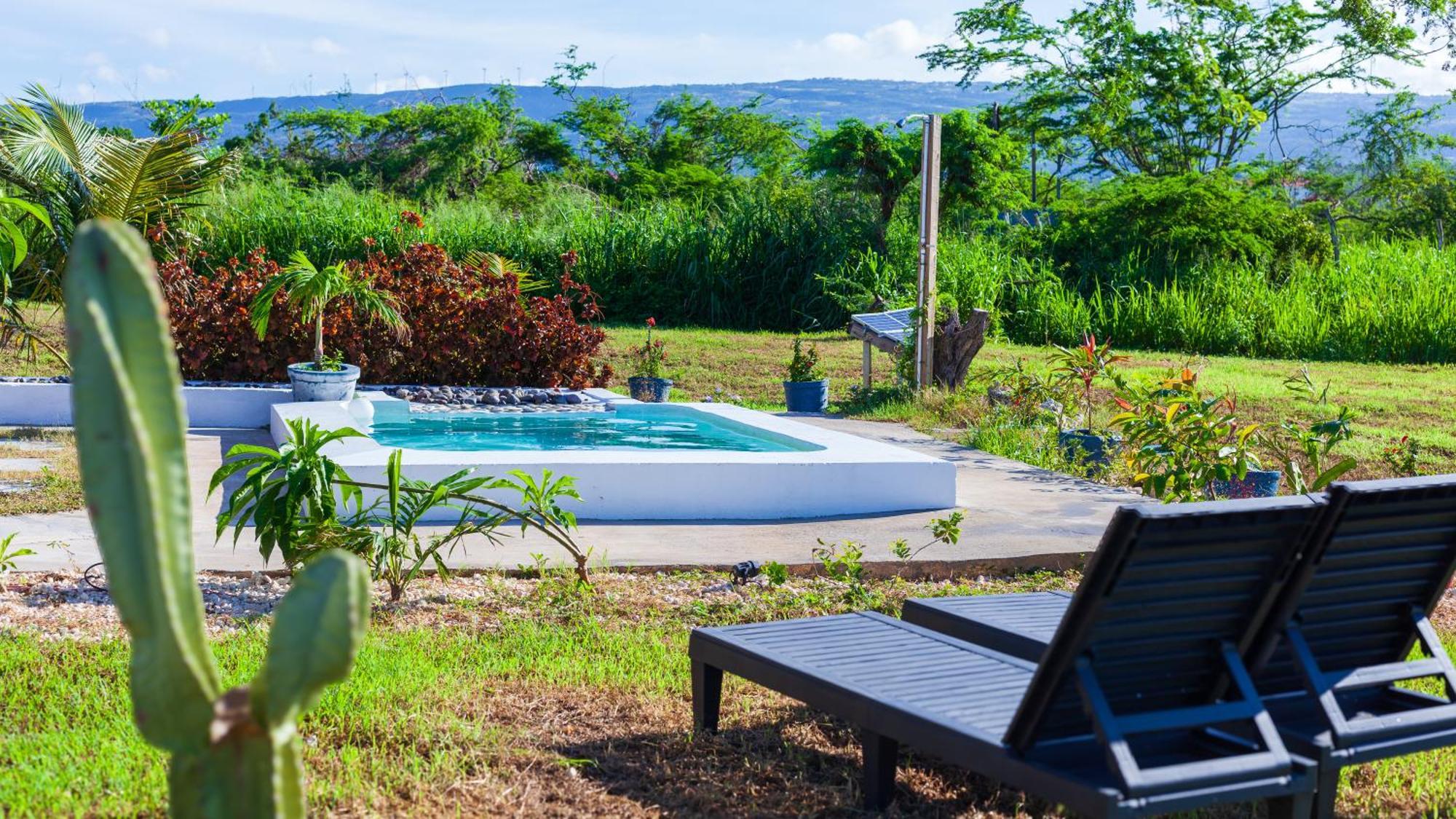 Cashaw Cabin - Private Retreat With A Pool Treasure Beach Zewnętrze zdjęcie